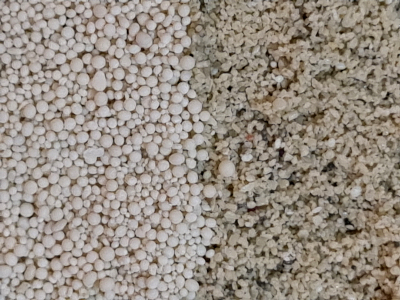 oolites compare 2 400px 2